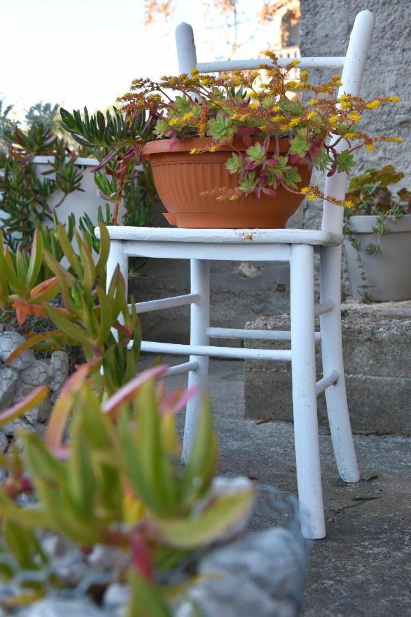 Greenvine Apartment Zadar Eksteriør bilde