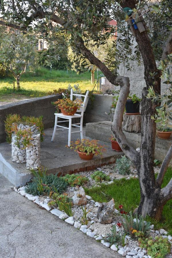 Greenvine Apartment Zadar Eksteriør bilde