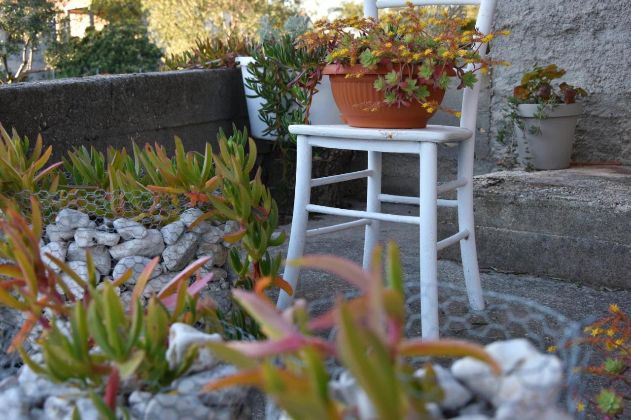 Greenvine Apartment Zadar Eksteriør bilde